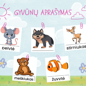 Kortelės "Gyvūno aprašymas"